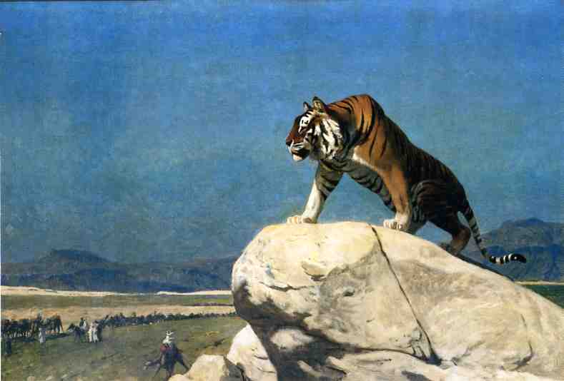 Tigre à l'affût