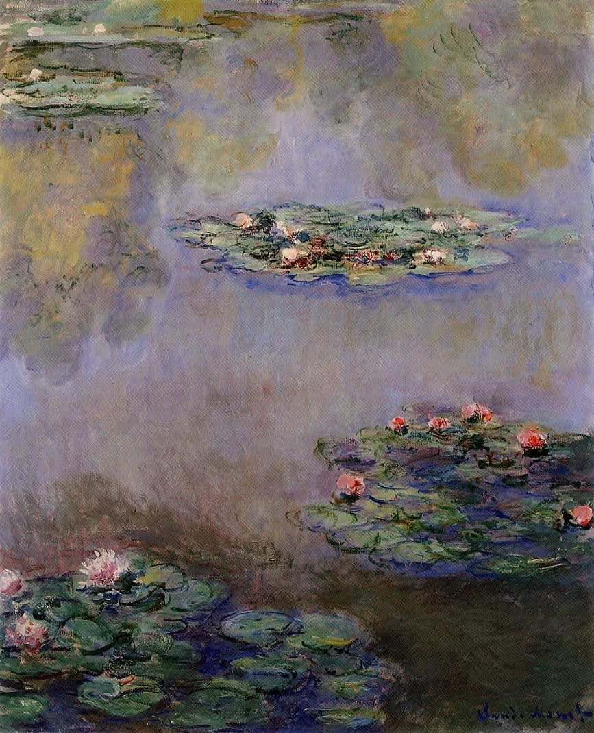 Seerosen 03