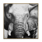 Abstract elephant oil painting | Looking forward to
