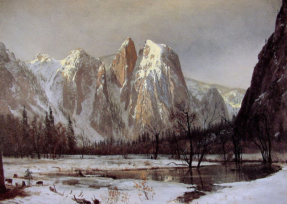 Cathedral Rock Yosemite Valley California