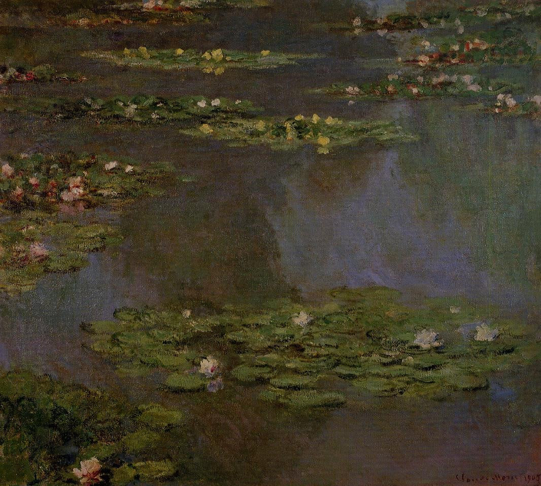 Water Lilies 05